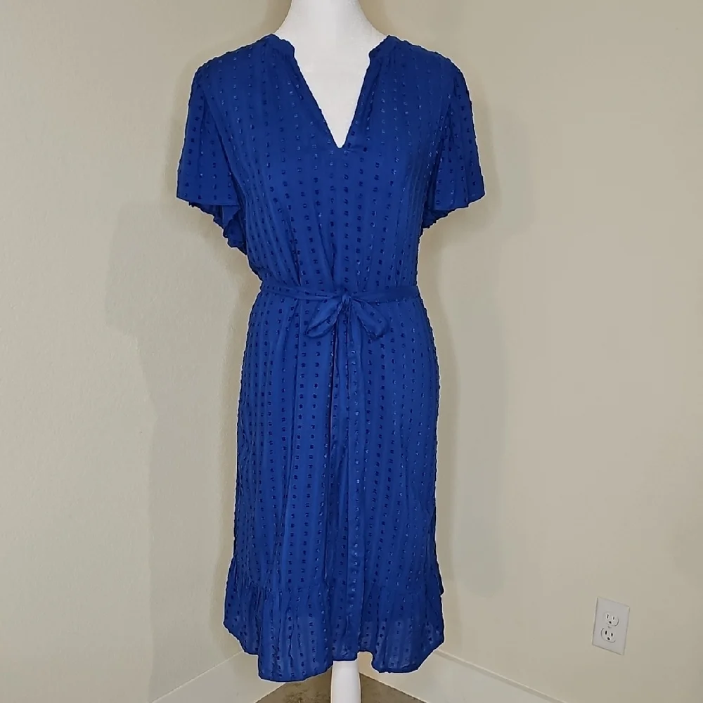Ann Taylor Blue V-Neck Flutter Sleeve Dress Sz XL - Picture 9 of 9